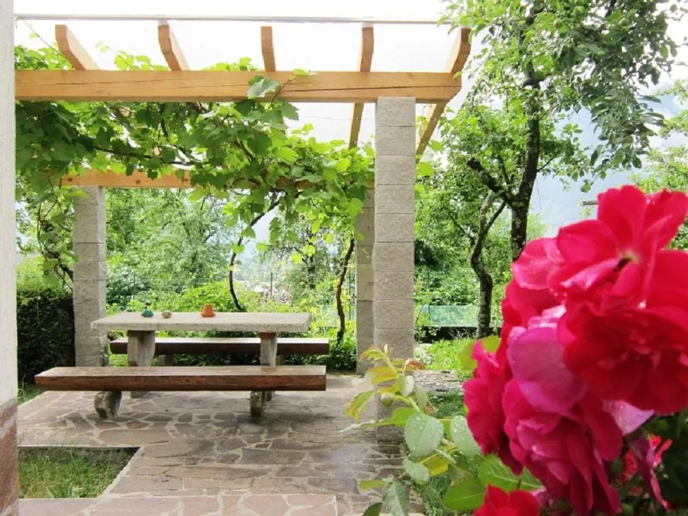 Pergola, za njo zelenje, v ospredju rdeče vrtnice